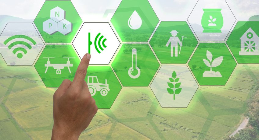 Internet of things(agriculture concept),smart farming,industrial agriculture.Farmer point hand to use augmented reality technology to control ,monitor and mangement in the field